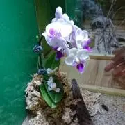 ☆☆☆