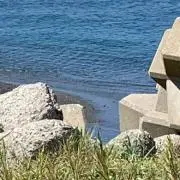 eriの画像