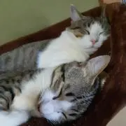 そうちゃんまま