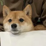 LISTA/PCデバイス