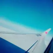 しーた