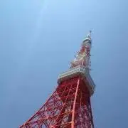 ひとみみぼれの画像