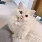 そその画像
