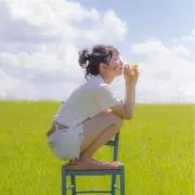 hanoの画像