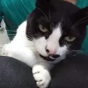 トマム