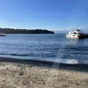 釈迦ポテ