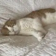 あっぺー