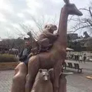 Yuki Hondaの画像