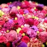 KOOI★即購入大歓迎♡の画像