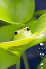 nan