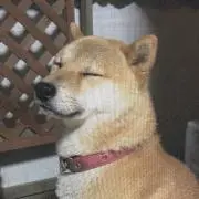 チキンクリスプ