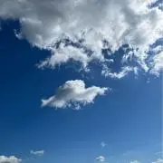 ひまわりの画像