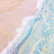 はなの画像