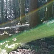 わたるの画像
