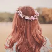 アンシェルの画像