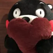 dittoの画像