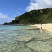 bocha♡の画像