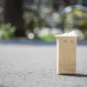 オーロラさーもんの画像