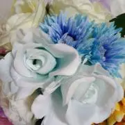 おうか