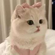 ꒰ঌ♡໒꒱の画像