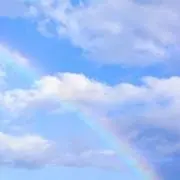 くぅの画像