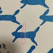 りこ