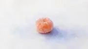 まっちょの画像