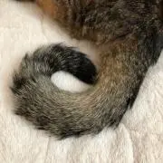 ゆ〜さん