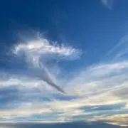 ぽんの画像