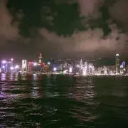 lilyの画像