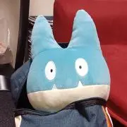 かびの画像