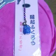 ふくろうの画像