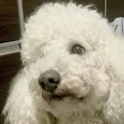 Hiroの画像