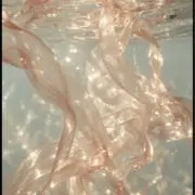 だりるの画像