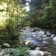 とみーの画像