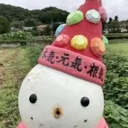 Re:サイクルの画像