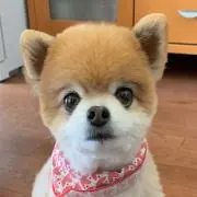 HIRO