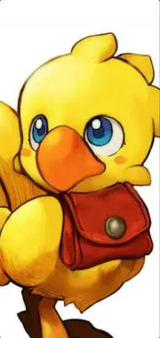 Image of チョコ※プロフ必ず、ご確認下さい。