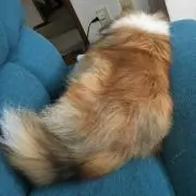 そらはるの画像