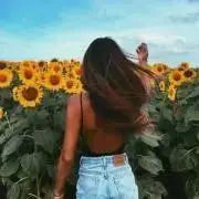ガオガオの画像
