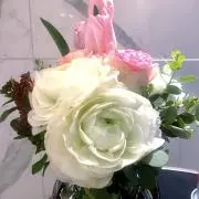 まめの画像