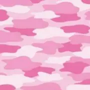 kkの画像