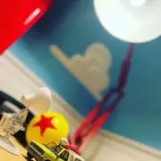 ミゲの画像