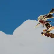 ころ