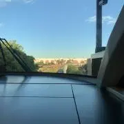 レイの画像