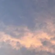 うさぎ-断捨離•お値引き交渉可-の画像
