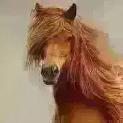 みえはちの画像