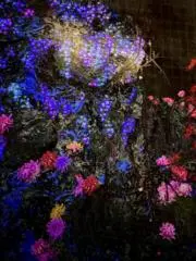 pined/値下✖プロフ読まない人✖の画像
