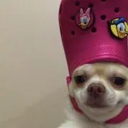チーかまの画像