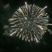 なんちゃんの画像